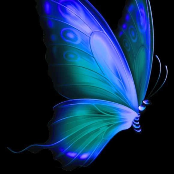 butterflygracie